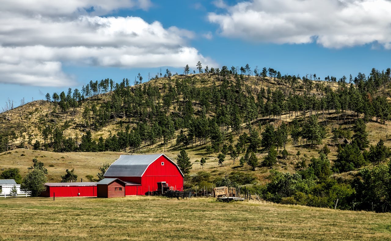 Picturesque red barn amid rolling hills and pine trees under a cloudy sky.